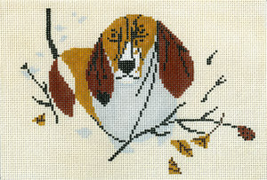 Basset Hound