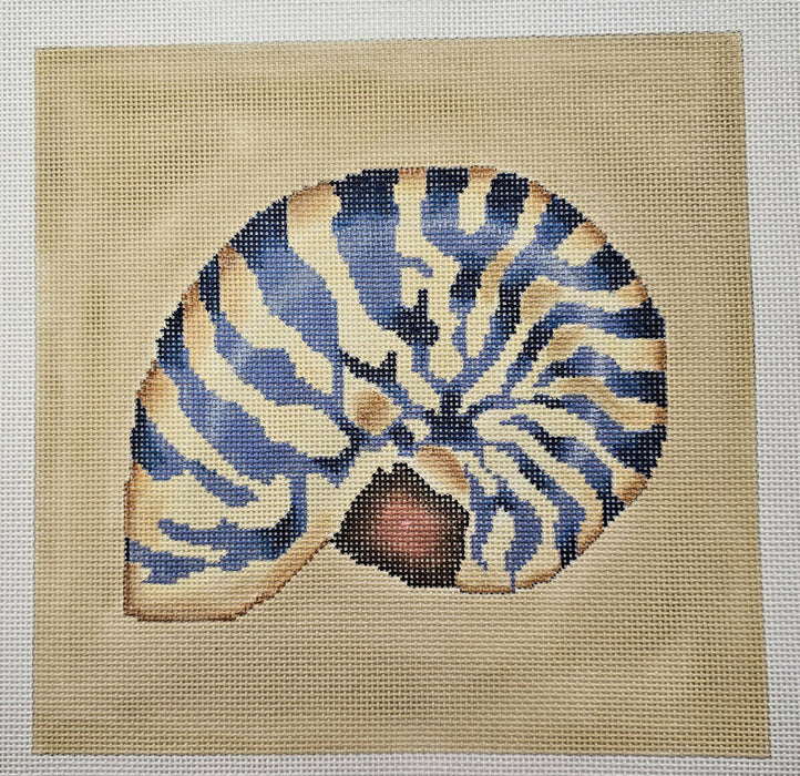 Nautilus Shell / Beige & Blue