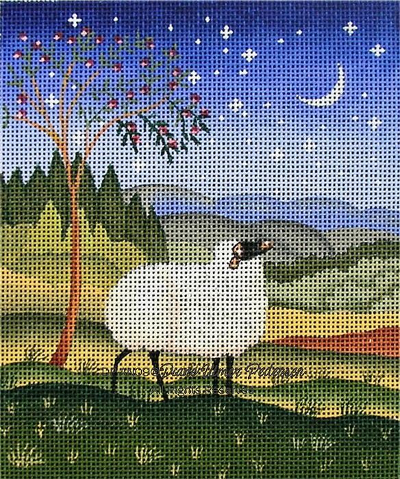 Animals: Night Sheep