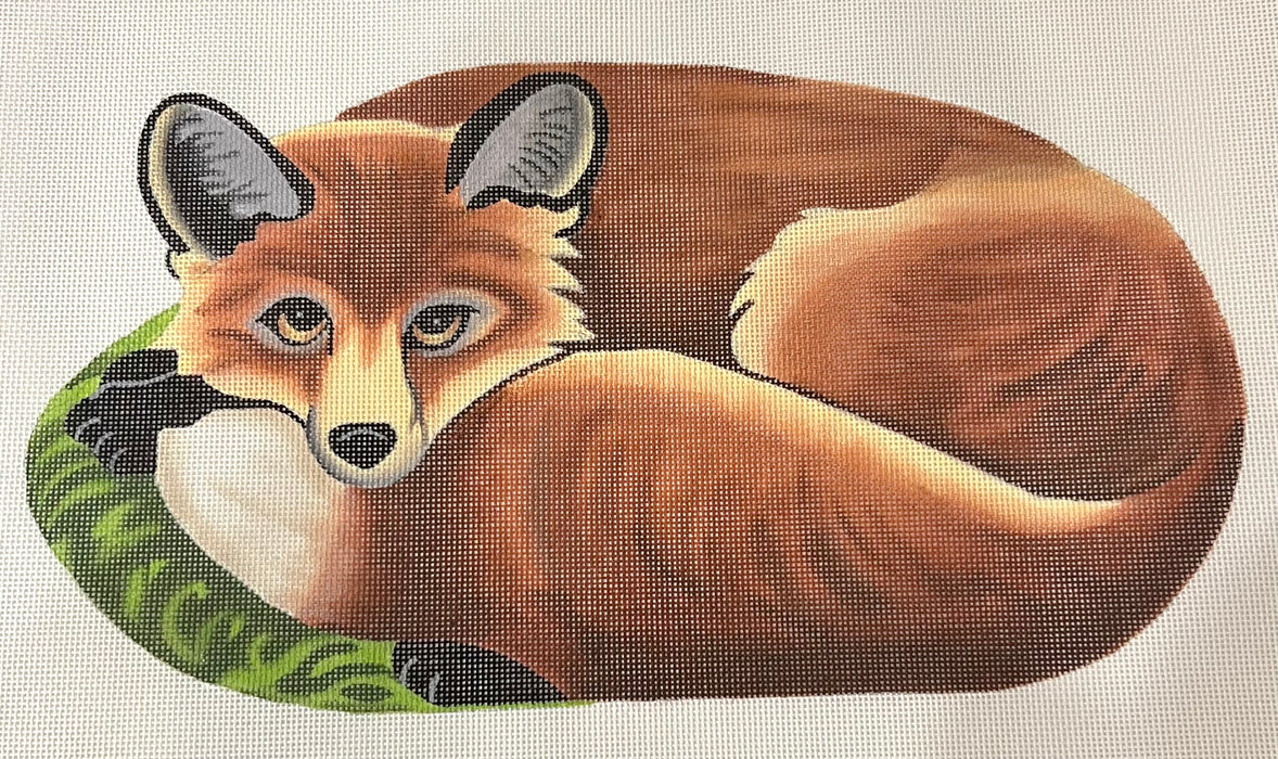 Curled Up Fox