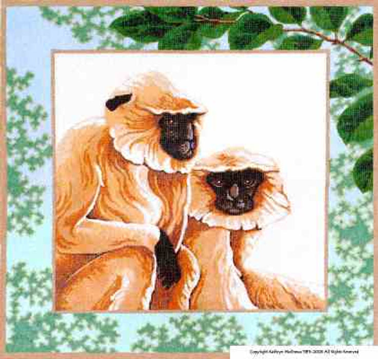 Langur Monkeys