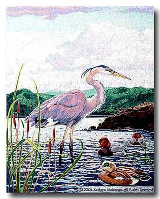 Great Blue Heron