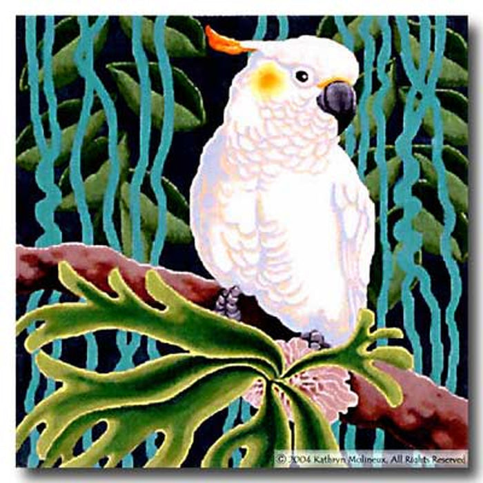 Sulphur-Crested Cockatoo