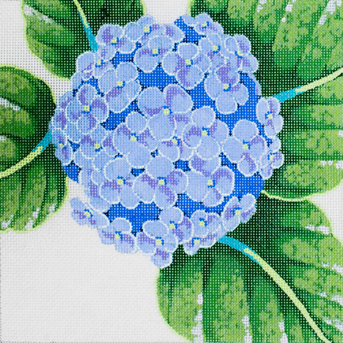 Squares: Hydrangea