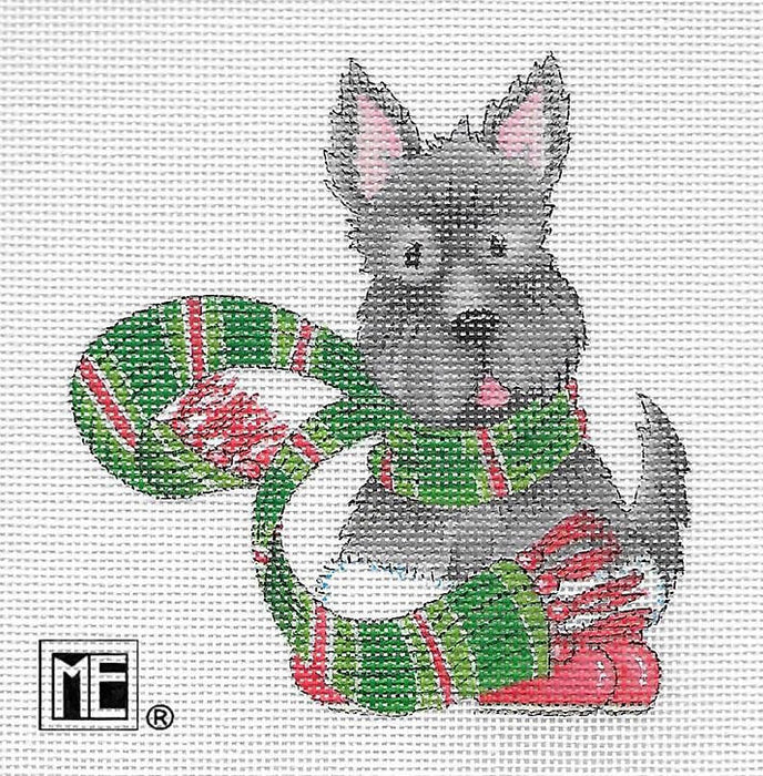 Animals: Scottie in Scarf