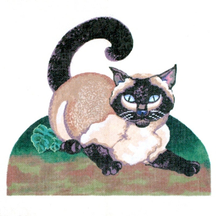 Siamese Cat