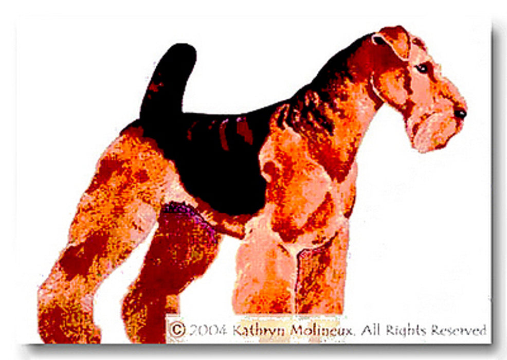 Welsh Terrier (Airedale)