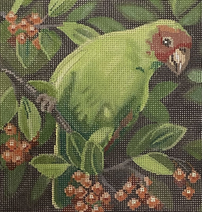 Parrot with Berries