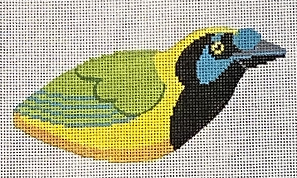 Green Jay