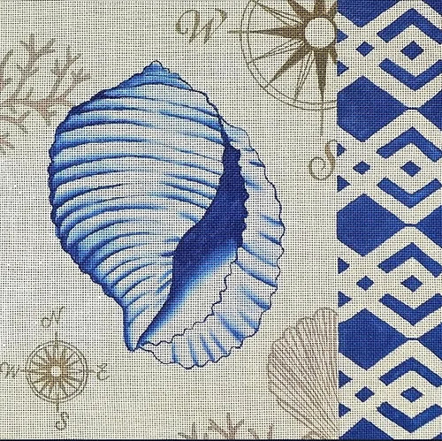 Tahitian Seashell 13m