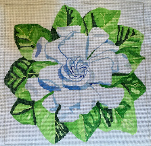 Gardenia