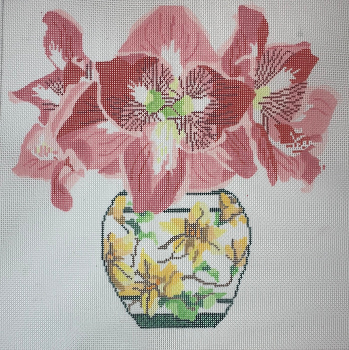 Amaryllis in Japanese Vase